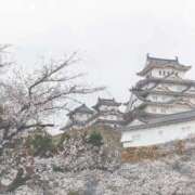 ヒメ日記 2025/04/06 13:49 投稿 めぐ あるまぎ！