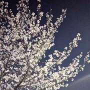 ヒメ日記 2025/04/11 15:49 投稿 めぐ あるまぎ！