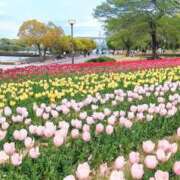 ヒメ日記 2025/04/22 15:00 投稿 めぐ あるまぎ！