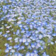 ヒメ日記 2025/04/24 15:52 投稿 めぐ あるまぎ！