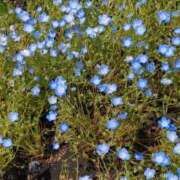 ヒメ日記 2025/05/02 12:49 投稿 めぐ あるまぎ！