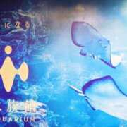 ヒメ日記 2025/05/15 15:45 投稿 めぐ あるまぎ！