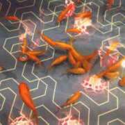 ヒメ日記 2025/07/04 13:54 投稿 めぐ あるまぎ！