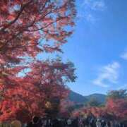 ヒメ日記 2025/11/24 15:31 投稿 めぐ あるまぎ！