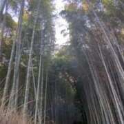 ヒメ日記 2026/01/12 15:54 投稿 めぐ あるまぎ！