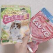 めぐ Login@16:00-23:00 あるまぎ！