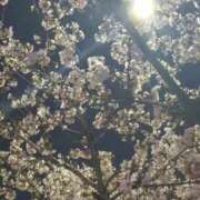 ヒメ日記 2026/03/27 15:45 投稿 めぐ あるまぎ！