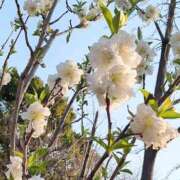 ヒメ日記 2026/04/03 16:14 投稿 めぐ あるまぎ！