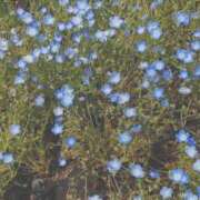 ヒメ日記 2026/04/05 15:47 投稿 めぐ あるまぎ！