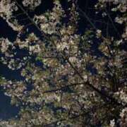 めぐ Login@16:00-23:00 あるまぎ！