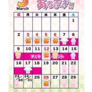 ヒメ日記 2025/03/06 12:24 投稿 やえ あるまぎ！