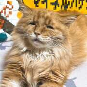 ヒメ日記 2025/08/21 18:14 投稿 めんま あるまぎ！