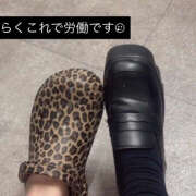 ヒメ日記 2025/09/07 13:57 投稿 めんま あるまぎ！