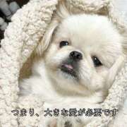 ヒメ日記 2026/01/13 15:03 投稿 めんま あるまぎ！