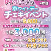 ヒメ日記 2026/02/05 11:17 投稿 めんま あるまぎ！