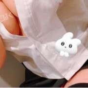 ヒメ日記 2024/12/17 16:06 投稿 こはく あるまぎ！