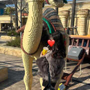 ヒメ日記 2025/03/09 12:12 投稿 みるく あるまぎ！