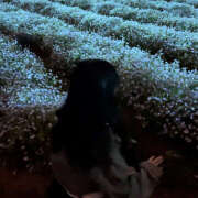 ヒメ日記 2025/04/22 18:10 投稿 みるく あるまぎ！