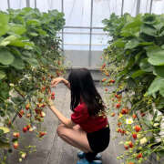 ヒメ日記 2025/05/29 18:04 投稿 みるく あるまぎ！