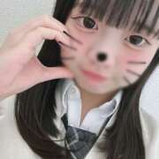 ヒメ日記 2025/03/19 10:14 投稿 ぱれお あるまぎ！