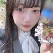 ヒメ日記 2025/04/04 16:32 投稿 ぱれお あるまぎ！