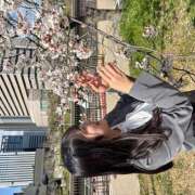 ヒメ日記 2025/04/06 11:17 投稿 ぱれお あるまぎ！