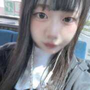 ヒメ日記 2025/04/17 14:16 投稿 ぱれお あるまぎ！