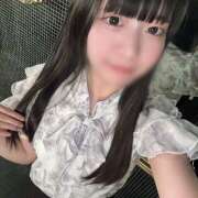 ヒメ日記 2025/06/29 10:36 投稿 ぱれお あるまぎ！