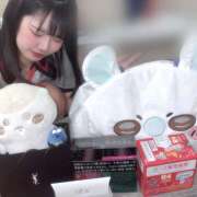 ヒメ日記 2026/03/15 11:44 投稿 ぱれお あるまぎ！