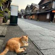 ヒメ日記 2024/09/07 17:20 投稿 まりん あるまぎ！