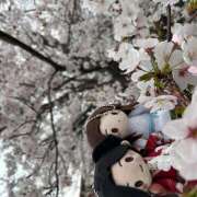 ヒメ日記 2025/04/22 14:55 投稿 まりん あるまぎ！