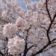 まりん 03.29♡ぽかめいてきたな あるまぎ！