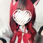 ヒメ日記 2024/12/28 11:58 投稿 ぽちゃっこ あるまぎ！