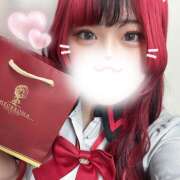 ヒメ日記 2025/02/11 11:50 投稿 ぽちゃっこ あるまぎ！