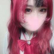 ヒメ日記 2025/02/14 12:09 投稿 ぽちゃっこ あるまぎ！