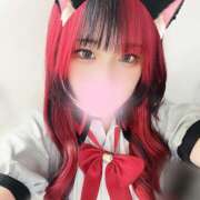 ヒメ日記 2025/02/22 11:52 投稿 ぽちゃっこ あるまぎ！