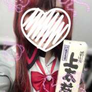 ヒメ日記 2025/02/26 12:01 投稿 ぽちゃっこ あるまぎ！