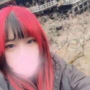 ヒメ日記 2025/03/23 12:59 投稿 ぽちゃっこ あるまぎ！