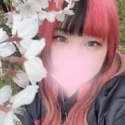 ヒメ日記 2025/04/03 16:49 投稿 ぽちゃっこ あるまぎ！