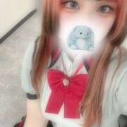 ヒメ日記 2025/04/12 11:30 投稿 ぽちゃっこ あるまぎ！