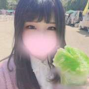 ヒメ日記 2025/04/28 11:29 投稿 ぽちゃっこ あるまぎ！