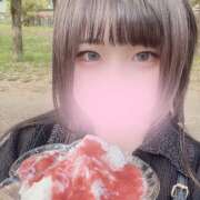 ヒメ日記 2025/05/06 11:56 投稿 ぽちゃっこ あるまぎ！