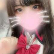 ヒメ日記 2025/05/19 15:54 投稿 ぽちゃっこ あるまぎ！