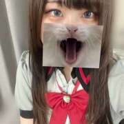 ヒメ日記 2025/05/23 11:38 投稿 ぽちゃっこ あるまぎ！