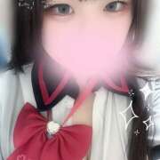 ヒメ日記 2025/06/03 11:51 投稿 ぽちゃっこ あるまぎ！