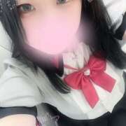 ヒメ日記 2025/06/10 12:02 投稿 ぽちゃっこ あるまぎ！