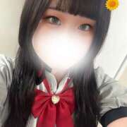 ヒメ日記 2025/07/26 12:02 投稿 ぽちゃっこ あるまぎ！