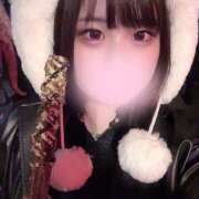 ヒメ日記 2025/10/28 12:01 投稿 ぽちゃっこ あるまぎ！