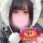 ヒメ日記 2025/11/11 14:04 投稿 ぽちゃっこ あるまぎ！