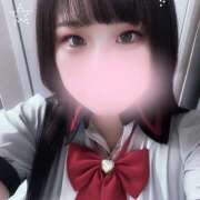 ヒメ日記 2025/11/15 12:14 投稿 ぽちゃっこ あるまぎ！